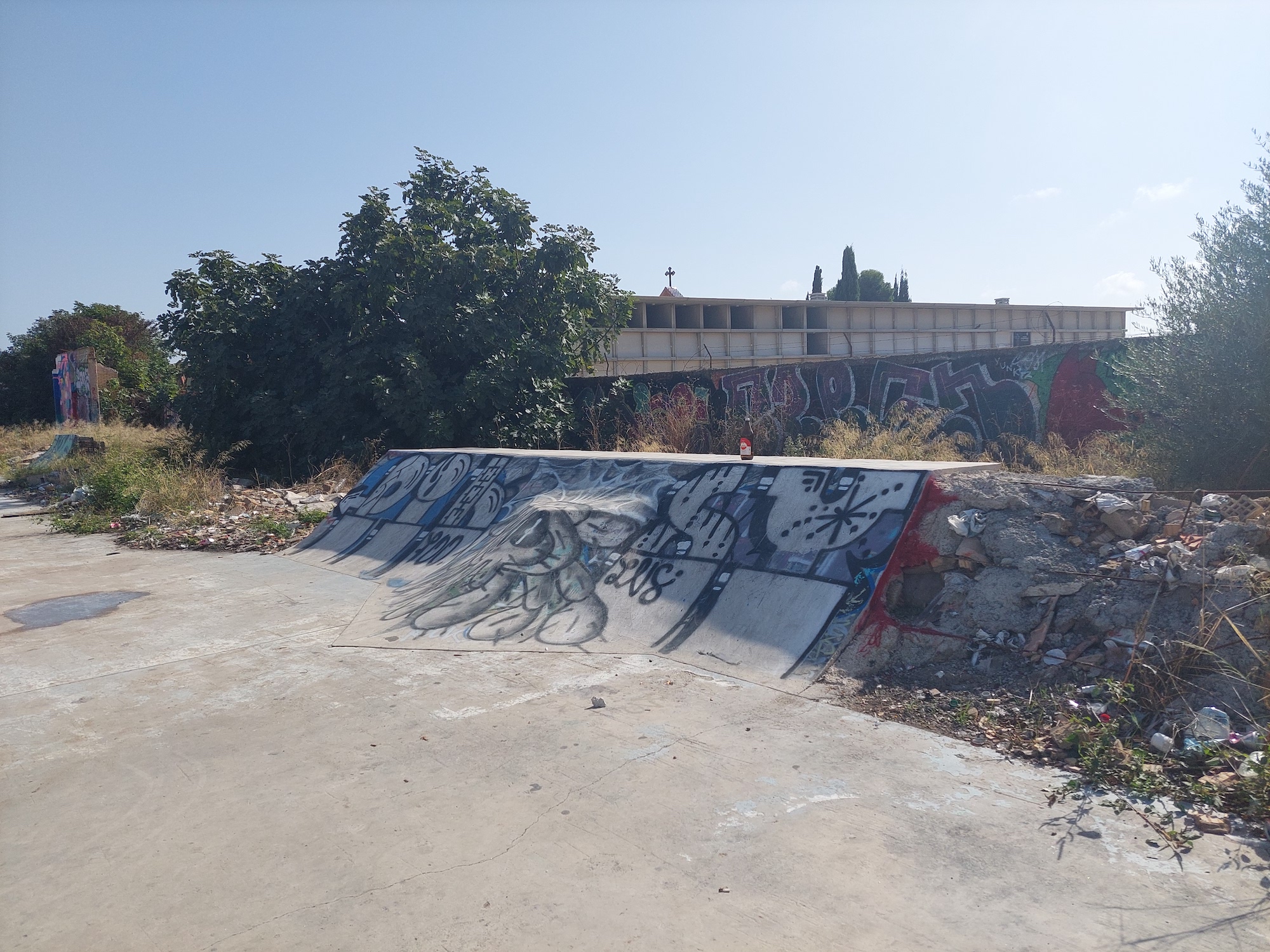 Cementerio DIY skatepark